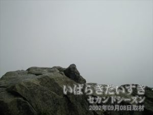 【霧で何も見えません】男体山側でも何も見えなかったのに、女体山側から見えるわけないですよね～。