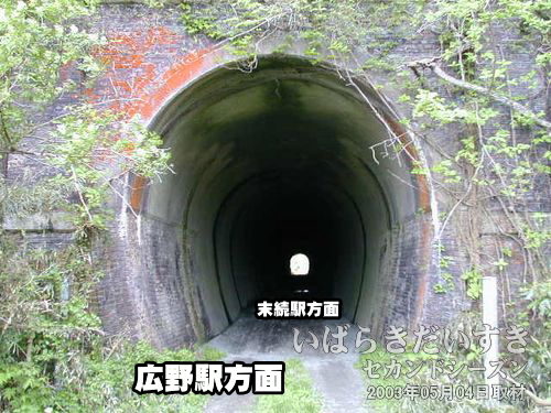 東禅寺トンネル〔広野駅方面〕<br>こちら側も、たいへん状態が良く残されています。