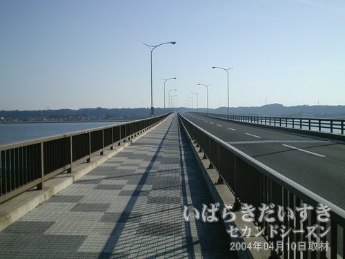 カモメ大橋は、歩道部分が広い<br>これだけ幅があれば、安心です。