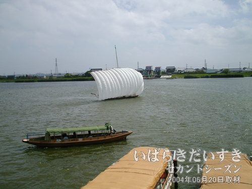 帆引き船<br>霞ヶ浦の漁業の手法としてかつて栄えた帆引き船。