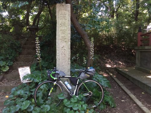 茨城百景_大利根の展望
