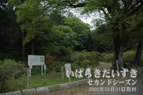 大宝城址(大宝八幡宮の敷地と重なる)〔茨城県下妻市大宝〕