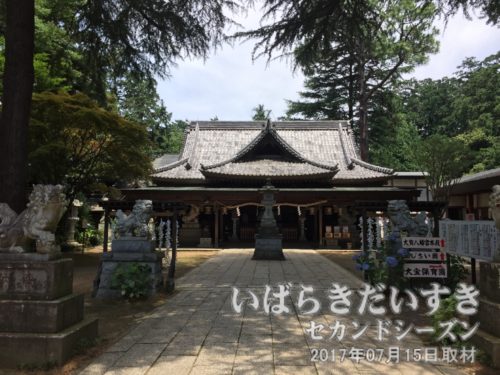 大宝八幡宮_拝殿〔茨城県下妻市大宝〕