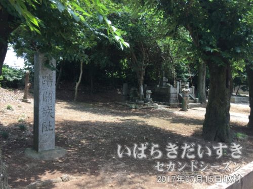 関城跡(国指定史跡)〔茨城県筑西市関舘〕