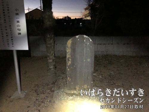 西林寺 一茶の句碑〔茨城県守谷市本町〕