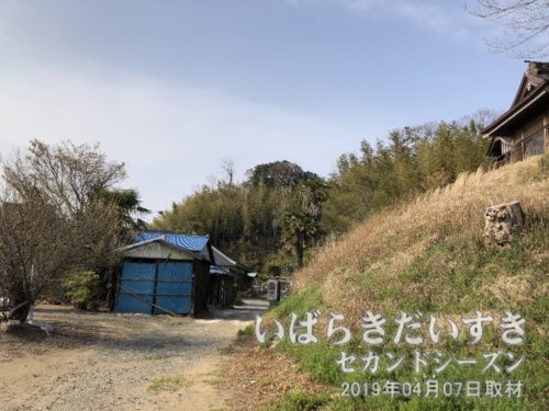 瑞祥院〔茨城県稲敷市江戸崎〕の裏山に五百羅漢像があります。