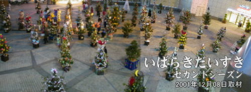 【つくばセンター 中央広場】<br>　つくば100本のクリスマスツリーの会場となる、つくばセンター広場には、 お手製のクリスマスツリーが飾られています。