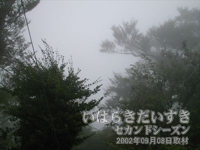 【霧で見えない】<br>去年とは違い、今年は霧でまったく景色が見えませんでした･･･（´ＴωＴ｀）。