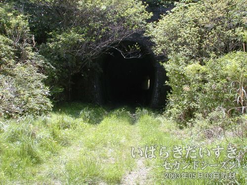 常磐線 向山トンネル〔北口/久ノ浜駅側〕<br srcset=