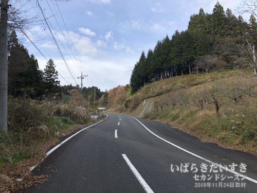 武生林道を北上していく。
