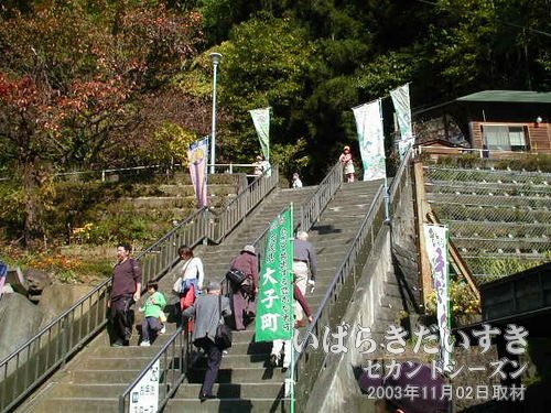 階段右上部に管理事務所<br>まあまあ角度のある階段を上り、"通行しおり"を買って袋田の滝を見学します。大人300円なり。