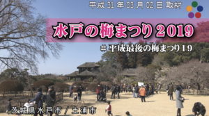 水戸の梅まつり_2019_平成31年_偕楽園_水戸市