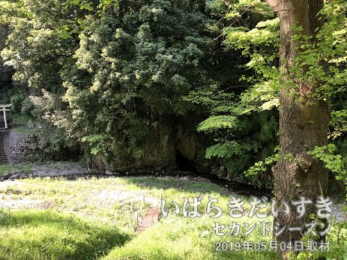 茨城百景 包括風景 諏訪の水穴（諏訪の梅林と水穴風穴）