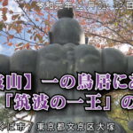 【筑波山神社】一の鳥居にあった銅像 「筑波の一王」