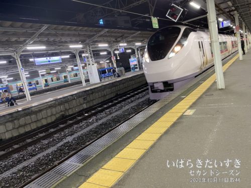 特急ときわで水戸駅から帰ります。
