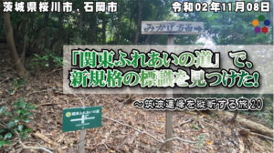 「関東ふれあいの道」で、新規格の標識を見つけた！