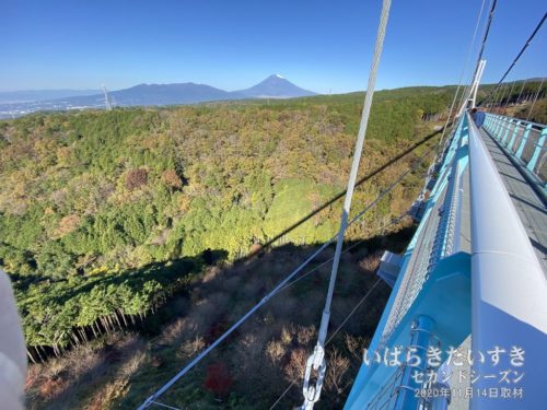吊橋から眺める、日本一の富士山の説得力。