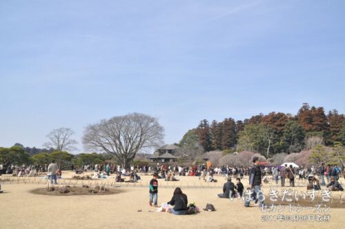 2011年03月06日に撮影した、左近の桜。