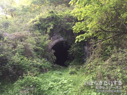 常磐線 旧金山トンネル （竜田駅側）