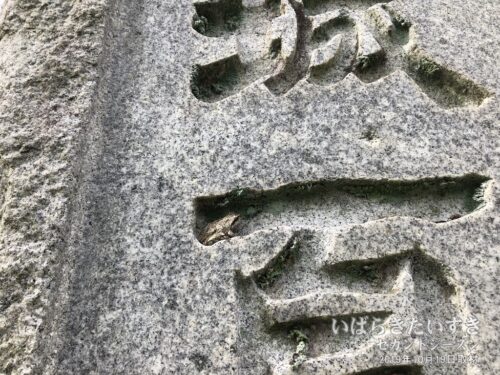 茨城百景碑をよく見ると、カエルが避難していた。
