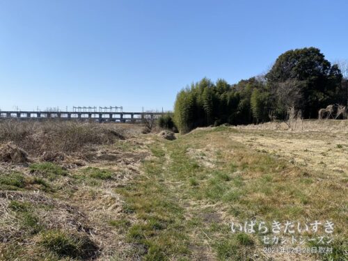 伊奈氏屋敷跡の敷地からは東北新幹線が見える。