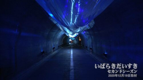 袋田の滝 観瀑トンネル 光のトンネル / 大子来人2020