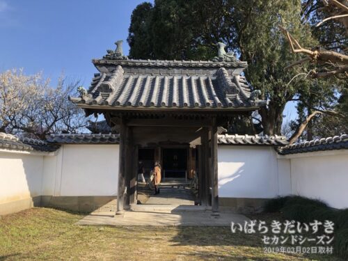 孔子廟の戟門が開放されている。（2019年）