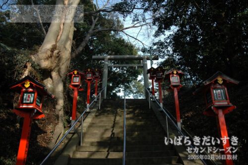 吉田神社 三の鳥居（2005年撮影）