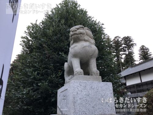 静神社 | 狛犬 吽